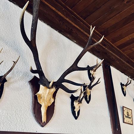 Myslivna Harrachov Otel Dış mekan fotoğraf