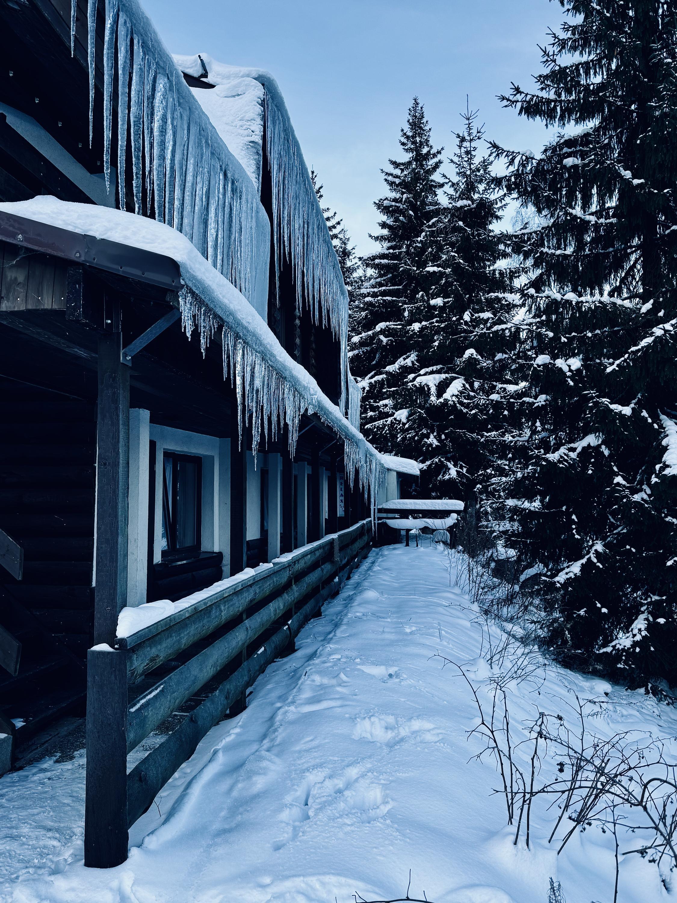 Myslivna Harrachov Otel Dış mekan fotoğraf